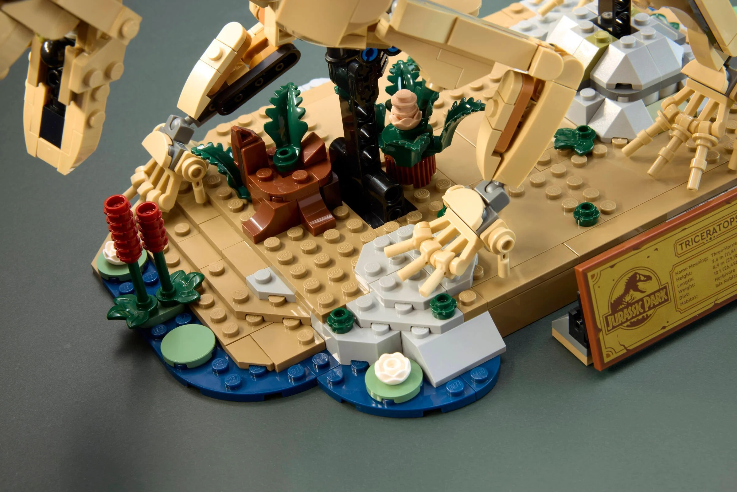 LEGO® 77985 Szkielety dinozaurów: triceratops - zdjęcie 8