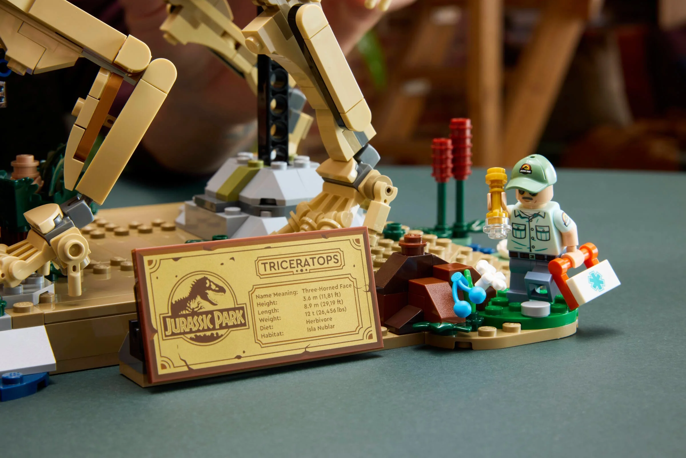 LEGO® 77985 Szkielety dinozaurów: triceratops - zdjęcie 9