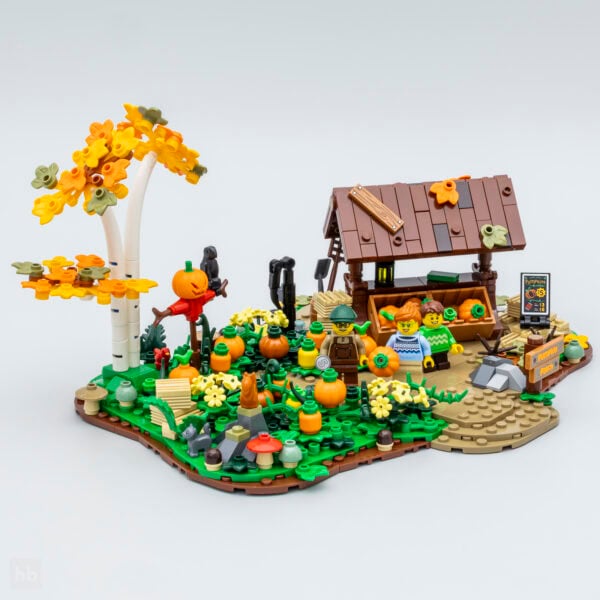 Pumpkin Patch 910073