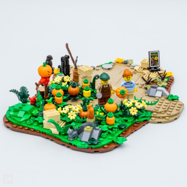 Pumpkin Patch 910073
