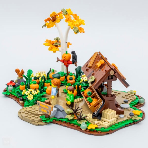 Pumpkin Patch 910073